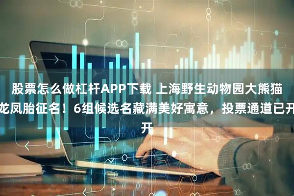 股票怎么做杠杆APP下载 上海野生动物园大熊猫龙凤胎征名！6组候选名藏满美好寓意，投票通道已开