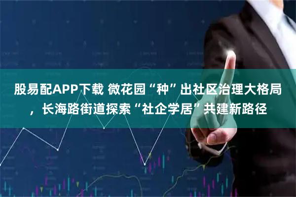 股易配APP下载 微花园“种”出社区治理大格局,长海路街道探索“社企学居”共建新路径