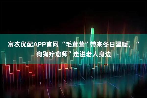 富农优配APP官网 “毛茸茸”带来冬日温暖,“狗狗疗愈师”走进老人身边