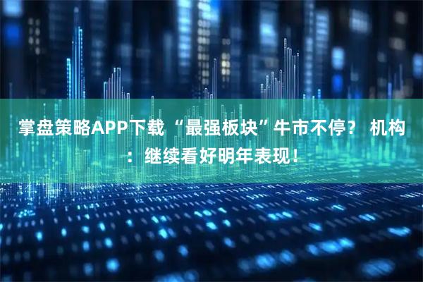 掌盘策略APP下载 “最强板块”牛市不停？ 机构：继续看好明年表现！