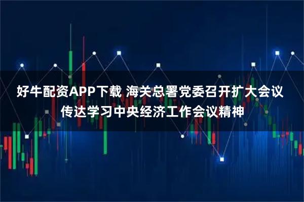 好牛配资APP下载 海关总署党委召开扩大会议 传达学习中央经济工作会议精神