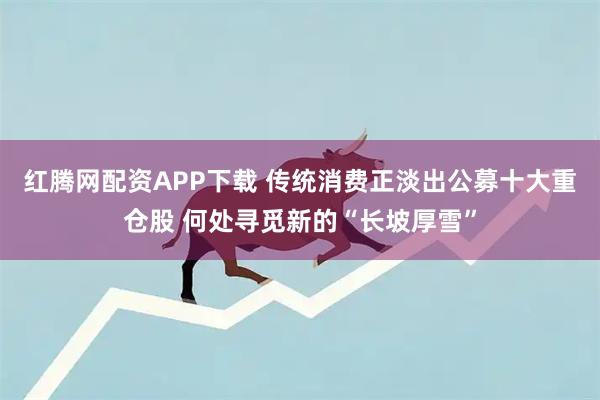 红腾网配资APP下载 传统消费正淡出公募十大重仓股 何处寻觅新的“长坡厚雪”