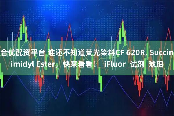 合优配资平台 谁还不知道荧光染料CF 620R, Succinimidyl Ester，快来看看！_iFluor_试剂_琥珀